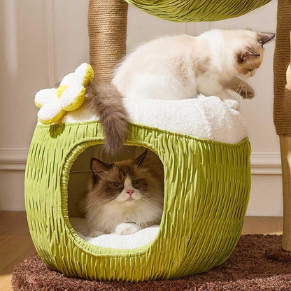 Coconut Grove Solid Wood Cat Climbing Tree