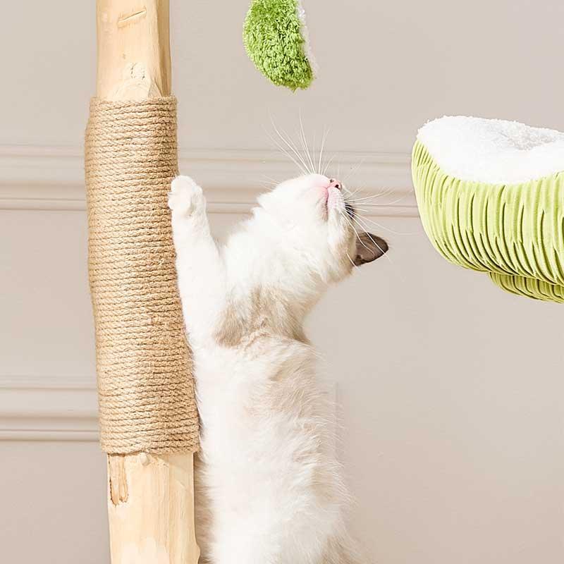 Coconut Grove Solid Wood Cat Climbing Tree