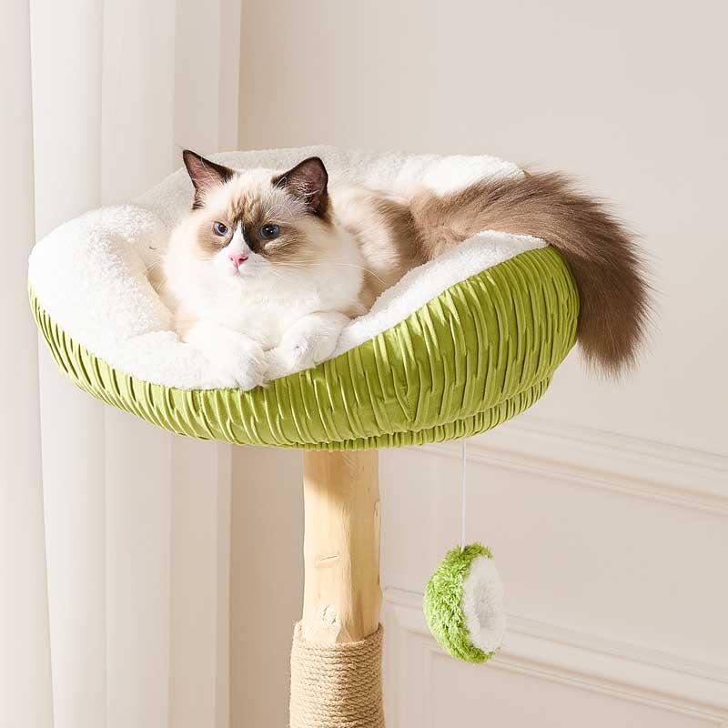 Coconut Grove Solid Wood Cat Climbing Tree