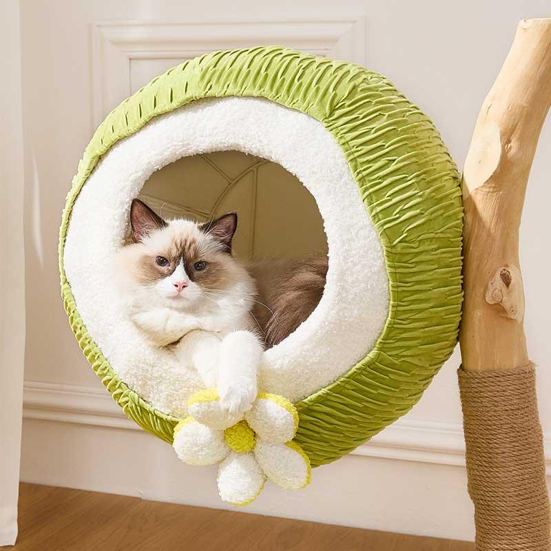 Coconut Grove Solid Wood Cat Climbing Tree