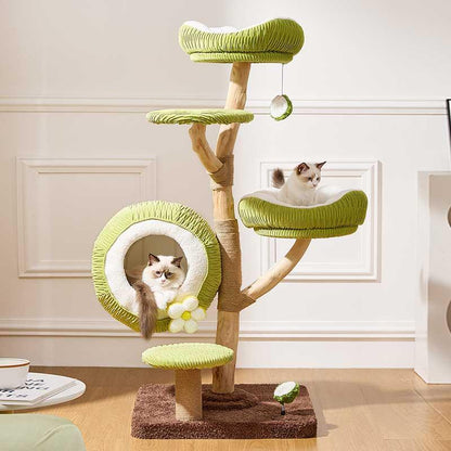 Coconut Grove Solid Wood Cat Climbing Tree