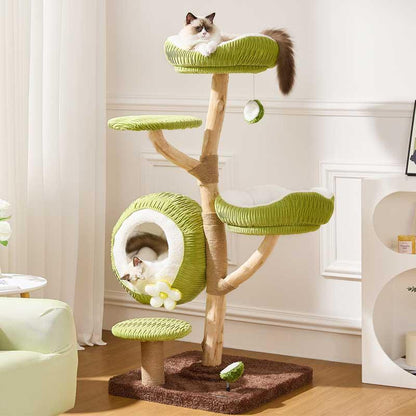 Coconut Grove Solid Wood Cat Climbing Tree