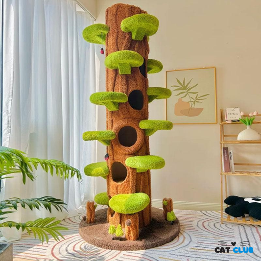 Luxury Cat Tree - Looks Like Tree Tall Climbing Frame