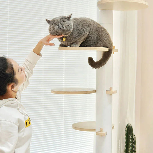 Rotating Petal  Metal Floor to Ceiling Cat Climbing Tree