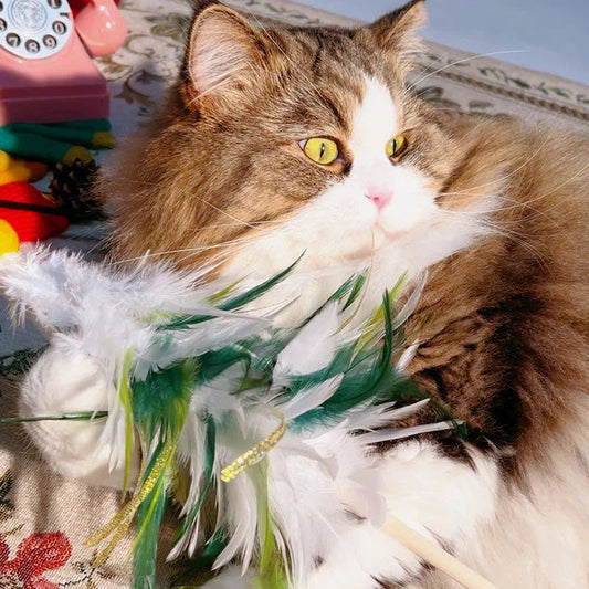 Christmas Feather Teaser Wand Toy for Cats