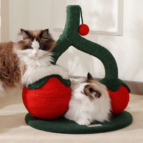 Cute Cherry Cat Scratching Board Toy