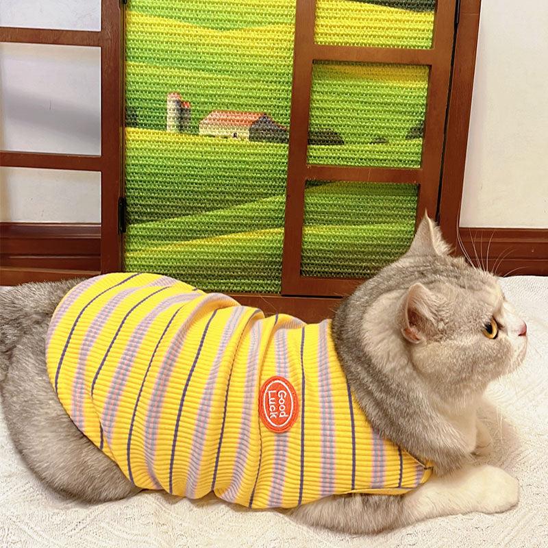 JCAT Artistic Window Frame Cat Scratcher