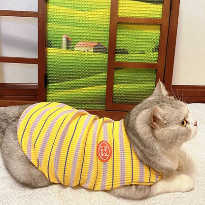 JCAT Artistic Window Frame Cat Scratcher