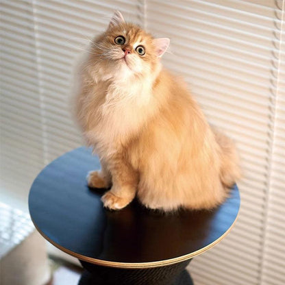 JCAT Modern Art Cat Scratching Table Furniture