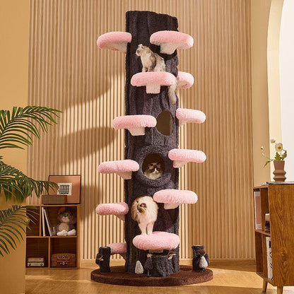 Luxury Cat Tree Looks Like Tree Tall Climbing Frame