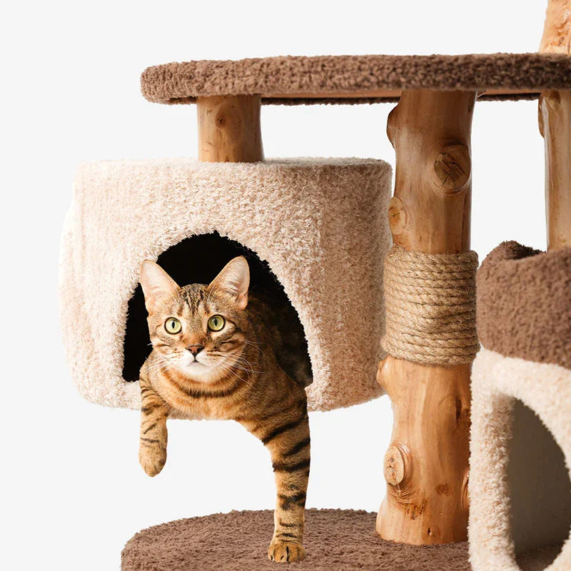 Treehouse Cat Tree for Multiple Cats Climbing Condo