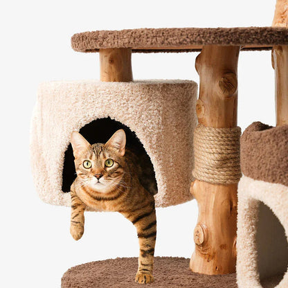Treehouse Cat Tree for Multiple Cats Climbing Condo