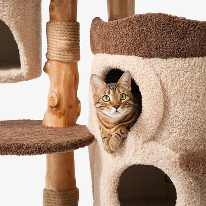 Treehouse Cat Tree for Multiple Cats Climbing Condo